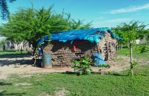 A run down house made of mud and sticks with the roof made of multiple garbage bags and blue tarps.